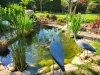 Beaune et région – Quatre jardins privés ouvrent leurs portes pour financer des jardins thérapeutiques