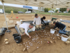Des milliers de silex retrouvés sur le chantier de fouille de Fragnes-La Loyère