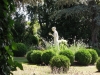 Le Jardin de la Renaudière à Gergy... un coin paradisiaque sur l'agglomération chalonnaise 
