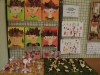 150 ans de la Société des Sciences Naturelles et Mycologique de Chalon sur Saône - Un week-end en mode forêt et prairie à la Maison des Syndicats de Chalon sur Saône.