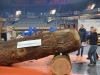 X-TRIAL CHALON - Le Colisée se prépare à accueillir les Championnats du monde 