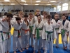 Minimes et Benjamins du Judo Club Chalonnais s’illustrent en nombre  lors du Championnat Départemental !