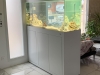 Transformez vos espaces avec des aquariums sur mesure : une touche de sérénité pour les maisons de retraite et les entreprises