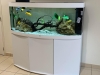 Transformez vos espaces avec des aquariums sur mesure : une touche de sérénité pour les maisons de retraite et les entreprises