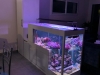Transformez vos espaces avec des aquariums sur mesure : une touche de sérénité pour les maisons de retraite et les entreprises