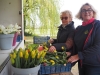26e édition des Tulipes contre le cancer - "une des opérations caritatives annuelles qui déclenche l'élan de solidarité le plus important" 