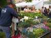 FOIRE AUX PLANTES DE LA FERTE - Vers une année record ? 