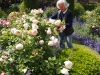 Les jardins de la Bouthière vous ouvrent leurs portes début juin pour "Rendez-vous au jardin"