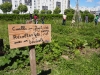 Le Bois Gourmand du Chalonnais, un vrai outil de sociabilisation au service du plus grand nombre