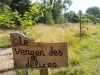Une journée très festive au Bois Gourmand du Chalonnais