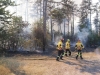 Cifa évacué, un important incendie à Mercurey mobilise les soldats du feu 