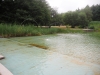 LA CHAPELLE SAINT-SAUVEUR - La piscine biologique fait son grand retour