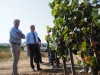 A Cheilly les Maranges, la démonstration de l'efficacité du Plan Vendanges à destination d'une main d'oeuvre locale éloignée de l'emploi