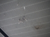 Gare routière de Chalon - Face aux nids de pigeon, le Grand Chalon prépare l'offensive 