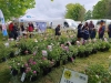 FOIRE AUX PLANTES DE LA FERTE - Un nombre de visiteurs inédit pour l'ouverture ce samedi matin de l'édition 2024