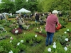 FOIRE AUX PLANTES DE LA FERTE - Un nombre de visiteurs inédit pour l'ouverture ce samedi matin de l'édition 2024