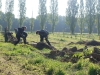 Une belle action avec le lycée horticole de Tournus, planter pour protéger l'apiculture