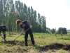 Une belle action avec le lycée horticole de Tournus, planter pour protéger l'apiculture