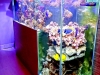 Profession libérale, Ehpad, structures accueillant du public.. Aquarium Passion Services propose une offre clé en main
