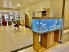 Profession libérale, Ehpad, structures accueillant du public.. Aquarium Passion Services propose une offre clé en main