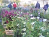 JOURNEES DES PLANTES A LA FERTE - Démarrage sur les chapeaux de roue ce samedi matin dans les allées de La Ferté