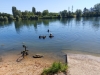 Opération nettoyage du lac des Près Saint Jean par les plongeurs de l'AsPreNaut Chalon