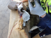 722 kg de résine saisis par les douaniers  de Chalon-sur-Saône