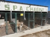 Avec 1 000 animaux recueillis, la SPA refuge de la région de Chagny affiche complet toute l’année
