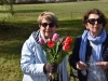 Participez à l’action de solidarité « Les tulipes contre le cancer »