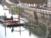 Chalon-sur-Saône : Opération de nettoyage des bords de Saône et des bois flottants