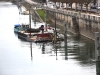 Chalon-sur-Saône : Opération de nettoyage des bords de Saône et des bois flottants