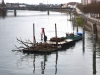 Chalon-sur-Saône : Opération de nettoyage des bords de Saône et des bois flottants