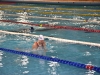 38e Meeting National du Grand Chalon de Natation (Suite) : Cyrielle Duhamel, reine des bassins chalonnais