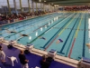 38e Meeting National du Grand Chalon de Natation (Suite) : Cyrielle Duhamel, reine des bassins chalonnais