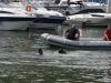 Fête du Port à Chalon-sur-Saône : Le public conquis par les chiens sauveteurs de l’Amicale des Pattes Palmées 