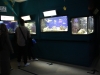 Aquarium de Chalon-sur-Saône, presque 50 ans déjà !