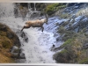 Club Photo de Varennes-le-Grand : Une exposition sur la nature sauvage à ne pas manquer ce weekend ! 