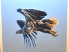 Club Photo de Varennes-le-Grand : Une exposition sur la nature sauvage à ne pas manquer ce weekend ! 