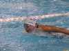 Le 41e Meeting de Ligue du Grand Chalon Open a débuté et les nageurs du Cercle Nautique Chalonnais ont accédé à plusieurs podiums