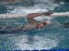 Finales des Championnats ‘Ligue de Bourgogne Franche-Comté’ de natation à Chalon-sur-Saône : Les nageuses et nageurs dijonnais s’imposent en terre chalonnaise.