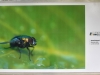 L’exposition « La Nature s’éveille » propose une jolie balade photographique dans le parc Georges Nouelle 