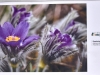 L’exposition « La Nature s’éveille » propose une jolie balade photographique dans le parc Georges Nouelle 
