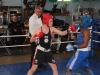 Retour en images sur les demi-finales du Championnat novices amateurs de boxe 