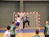 Handball. Nationale 3 Masculine - Poule 6 : les Bleus et Blancs créent l'exploit en battant Lure (26-17)