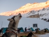 Le Saône-et-Loirien Grégory Coffre participera à la plus grande course de chiens de traineaux d’Europe !