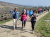 Marathon des vins : nouveau succès pour la randonnée de Bouzeron
