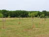Cérémonie d’inauguration des 25 arbres de naissances de 2025 au Champ Liard.