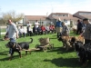 Concours d'attelage canin organisé par le Club Canin de Châtenoy le Royal samedi 25 mars et dimanche 26 mars 2023