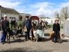 Bouvier bernois, Terre neuve, Berger blanc, …Berger australien au concours d’attelage organisé par le club canin de Châtenoy le Royal.