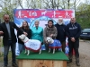 Le Club canin de Châtenoy le Royal a accueilli dimanche 31 mars l’exposition de la Régionale d’Elevage Bourgogne Franche Comté de Staffordshire Bull Terrier Club de France 2024. (1/3)